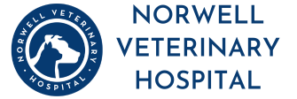 Link to Homepage of Norwell Veterinary Hospital