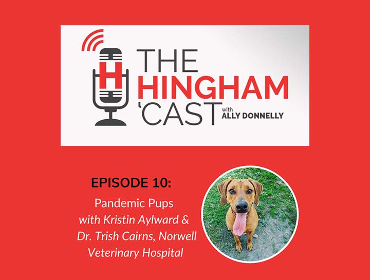 Podcast: Pandemic Pets!